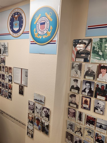 Vet Wall
