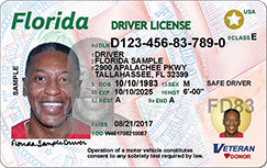 Florida Drivers License